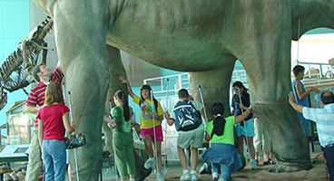A group of blind students stand around and under a dinosaur in a science museum.
